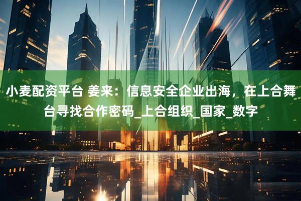 小麦配资平台 姜来：信息安全企业出海，在上合舞台寻找合作密码_上合组织_国家_数字