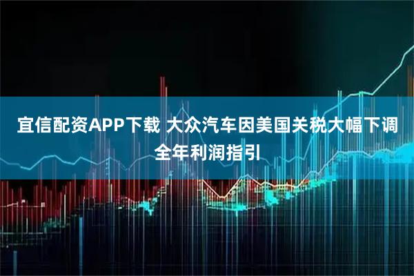 宜信配资APP下载 大众汽车因美国关税大幅下调全年利润指引