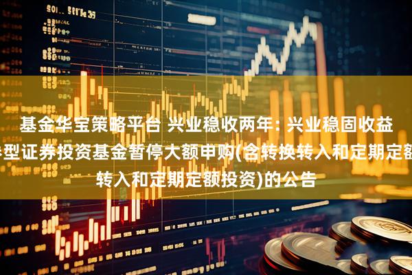基金华宝策略平台 兴业稳收两年: 兴业稳固收益两年理财债券型证券投资基金暂停大额申购(含转换转入和定期定额投资)的公告