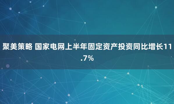 聚美策略 国家电网上半年固定资产投资同比增长11.7%