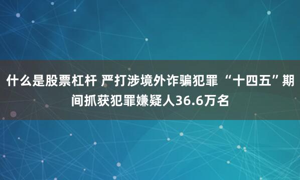 什么是股票杠杆 严打涉境外诈骗犯罪 “十四五”期间抓获犯罪嫌疑人36.6万名