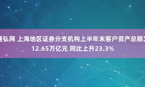 通弘网 上海地区证券分支机构上半年末客户资产总额为12.65万亿元 同比上升23.3%