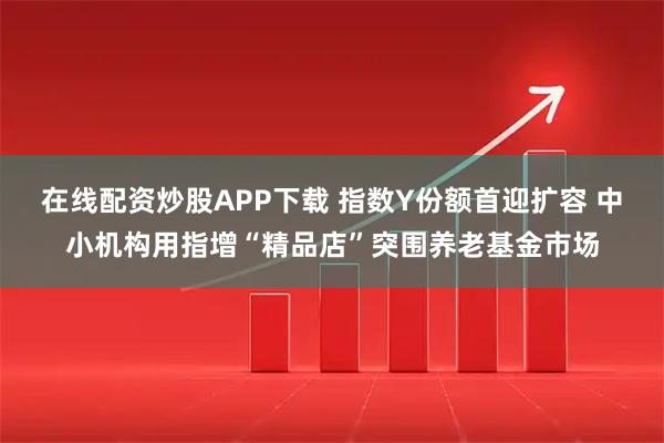 在线配资炒股APP下载 指数Y份额首迎扩容 中小机构用指增“精品店”突围养老基金市场